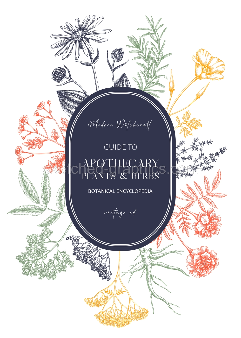 Apothecary plant wreath design. Witchcraft background. Herbal remedies, medicinal plant, witch herbs, natural medicine hand-drawn vector illustration in color. NOT AI genereted Illustration